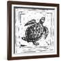 Coastal Sea Turtle Ocean Beach Sketch-Megan Aroon Duncanson-Framed Art Print