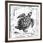 Coastal Sea Turtle Ocean Beach Sketch-Megan Aroon Duncanson-Framed Art Print