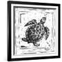 Coastal Sea Turtle Ocean Beach Sketch-Megan Aroon Duncanson-Framed Art Print
