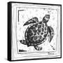 Coastal Sea Turtle Ocean Beach Sketch-Megan Aroon Duncanson-Framed Stretched Canvas