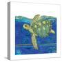 Coastal-Sea Turtle-Swirly Ocean-Robbin Rawlings-Stretched Canvas