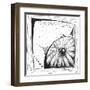 Coastal Sea Urchin Shell Beach Sketch-Megan Aroon Duncanson-Framed Art Print