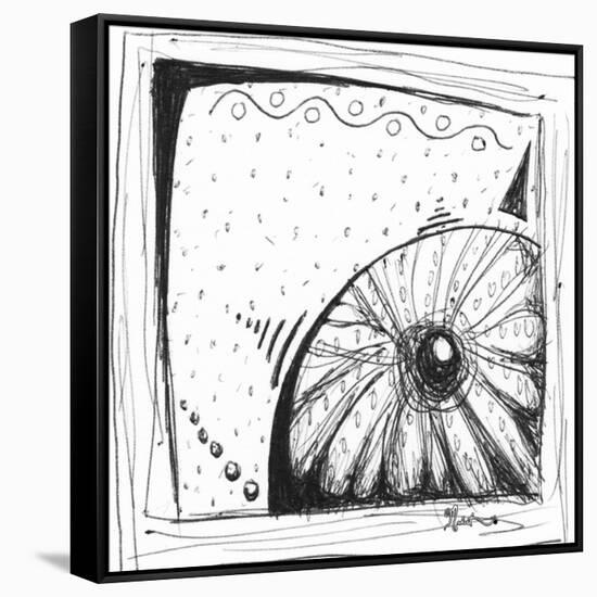 Coastal Sea Urchin Shell Beach Sketch-Megan Aroon Duncanson-Framed Stretched Canvas