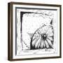 Coastal Sea Urchin Shell Beach Sketch-Megan Aroon Duncanson-Framed Art Print