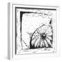 Coastal Sea Urchin Shell Beach Sketch-Megan Aroon Duncanson-Framed Art Print