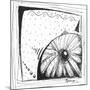 Coastal Sea Urchin Shell Beach Sketch-Megan Aroon Duncanson-Mounted Art Print