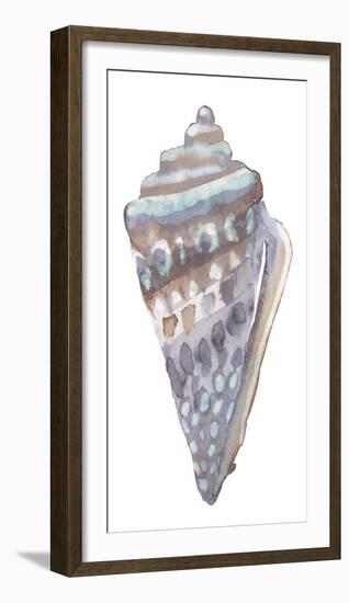 Coastal Seashells - Cone-Sandra Jacobs-Framed Giclee Print