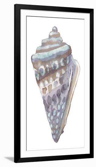 Coastal Seashells - Cone-Sandra Jacobs-Framed Giclee Print