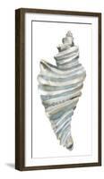 Coastal Seashells - Drill-Sandra Jacobs-Framed Giclee Print