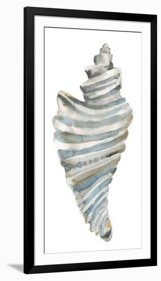 Coastal Seashells - Drill-Sandra Jacobs-Framed Giclee Print