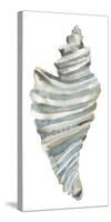 Coastal Seashells - Drill-Sandra Jacobs-Stretched Canvas