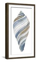 Coastal Seashells - Tulip-Sandra Jacobs-Framed Giclee Print