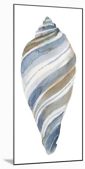 Coastal Seashells - Tulip-Sandra Jacobs-Mounted Giclee Print
