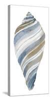 Coastal Seashells - Tulip-Sandra Jacobs-Stretched Canvas