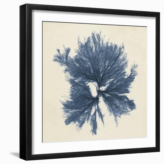 Coastal Seaweed V-Vision Studio-Framed Giclee Print