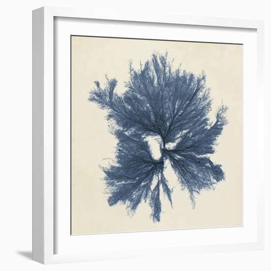 Coastal Seaweed V-Vision Studio-Framed Giclee Print