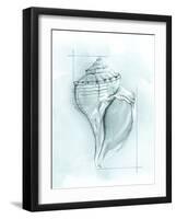 Coastal Shell Schematic I-Megan Meagher-Framed Art Print