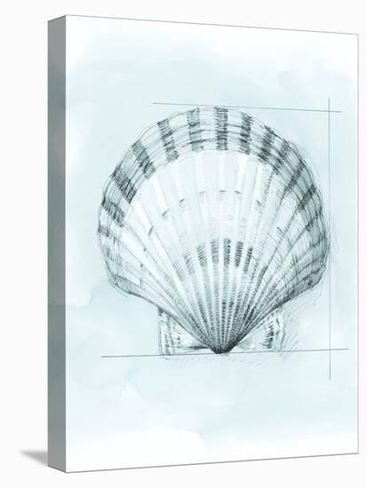 Coastal Shell Schematic III-Megan Meagher-Stretched Canvas