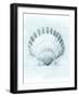 Coastal Shell Schematic III-Megan Meagher-Framed Art Print