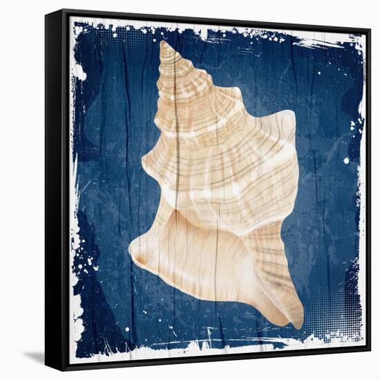 Coastal Shells 1-Kimberly Allen-Framed Stretched Canvas