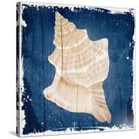 Coastal Shells 1-Kimberly Allen-Stretched Canvas