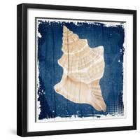 Coastal Shells 1-Kimberly Allen-Framed Art Print