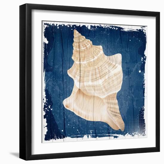 Coastal Shells 1-Kimberly Allen-Framed Art Print