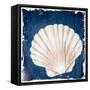 Coastal Shells 2-Kimberly Allen-Framed Stretched Canvas