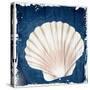 Coastal Shells 2-Kimberly Allen-Stretched Canvas