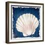 Coastal Shells 2-Kimberly Allen-Framed Art Print