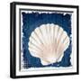 Coastal Shells 2-Kimberly Allen-Framed Art Print