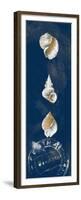 Coastal Shells Panel I-Lanie Loreth-Framed Premium Giclee Print