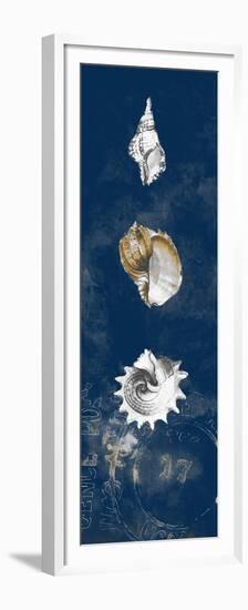 Coastal Shells Panel II-Lanie Loreth-Framed Premium Giclee Print