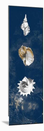 Coastal Shells Panel II-Lanie Loreth-Mounted Premium Giclee Print