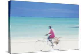 Coastal Spin-Peter Adams-Stretched Canvas