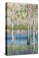 Coastal Spring Birch-James Zheng-Stretched Canvas