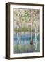 Coastal Spring Birch-James Zheng-Framed Art Print