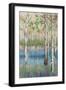 Coastal Spring Birch-James Zheng-Framed Art Print