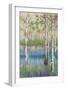 Coastal Spring Birch-James Zheng-Framed Art Print