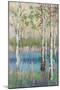 Coastal Spring Birch-James Zheng-Mounted Art Print