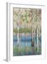 Coastal Spring Birch-James Zheng-Framed Art Print