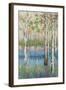 Coastal Spring Birch-James Zheng-Framed Art Print