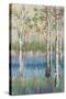 Coastal Spring Birch-James Zheng-Stretched Canvas