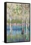 Coastal Spring Birch-James Zheng-Framed Stretched Canvas