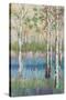 Coastal Spring Birch-James Zheng-Stretched Canvas