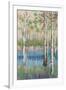 Coastal Spring Birch-James Zheng-Framed Art Print