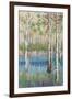 Coastal Spring Birch-James Zheng-Framed Art Print