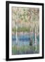 Coastal Spring Birch-James Zheng-Framed Art Print