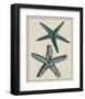 Coastal Starfish I-Vision Studio-Framed Art Print