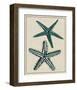 Coastal Starfish I-Vision Studio-Framed Art Print